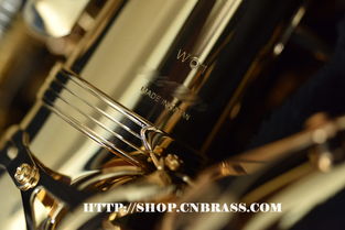 柳澤中音薩克斯a wo1 樂器配件選購與維護(hù)指南